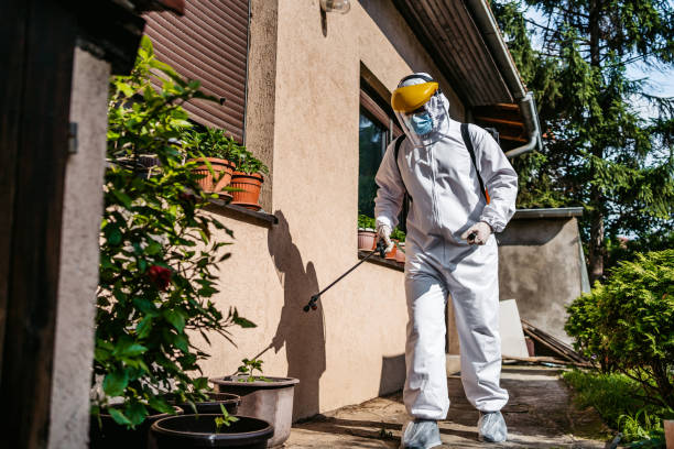 Best Local Pest Control Services  in Columbia Heights, MN