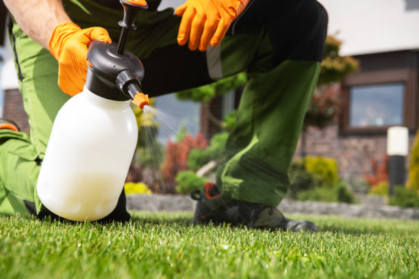 Best Pest Control Near Me  in Columbia Heights, MN