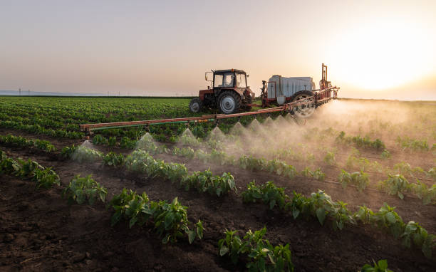 Reliable Columbia Heights, MN Pest Control Solutions
