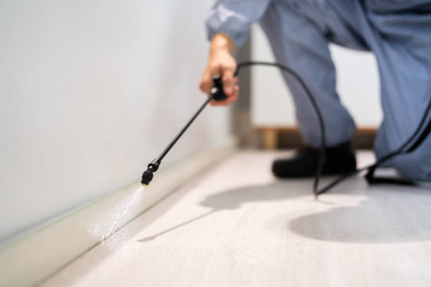 Best Residential Pest Control  in Columbia Heights, MN