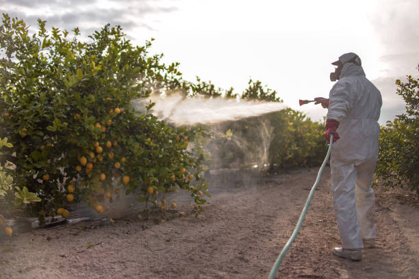 Best Best Pest Control Companies  in Columbia Heights, MN