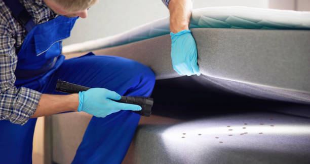 Best Exterminator Services  in Columbia Heights, MN