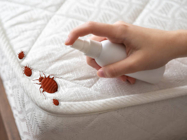 Best Bed Bug Extermination  in Columbia Heights, MN