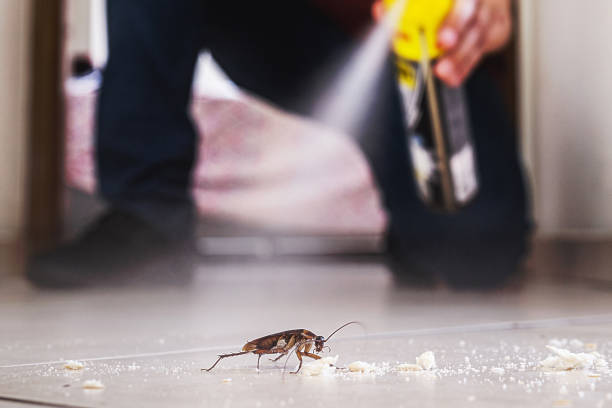 Best Pest Control Near Me  in Columbia Heights, MN